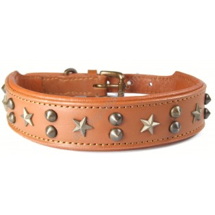 Padded LEATHER DOG COLLAR  : Tan with stars